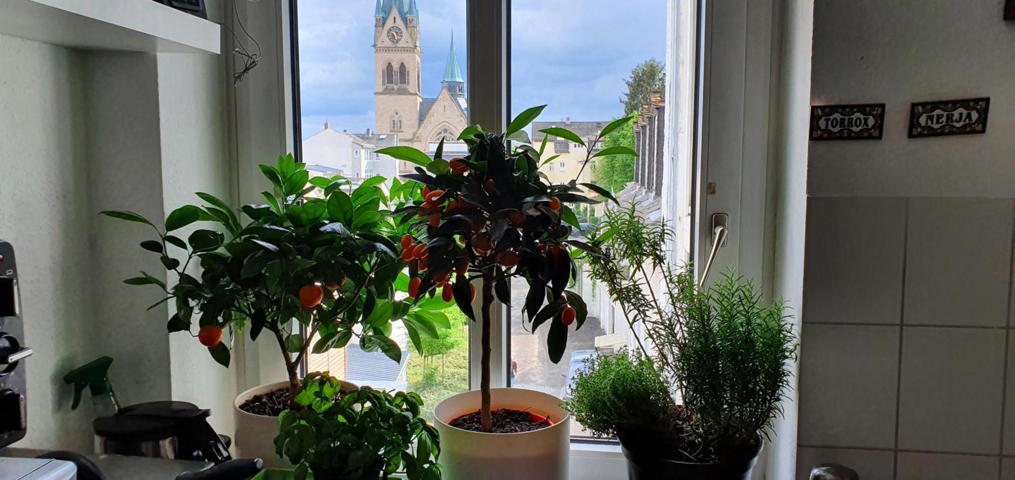 Von Privat, Grosses Zimmer Sehr Zentral In Bad Homburg Stadtmitte Bad Homburg vor der Höhe Exterior photo